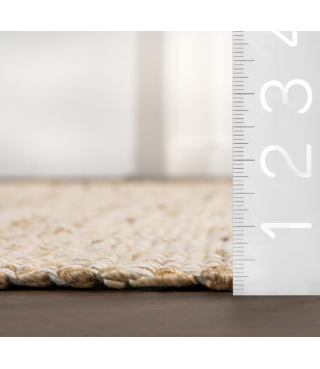 Cozy Jute & Cotton Hand Woven Area Rug