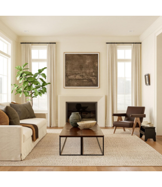 Cozy Jute & Cotton Hand Woven Area Rug