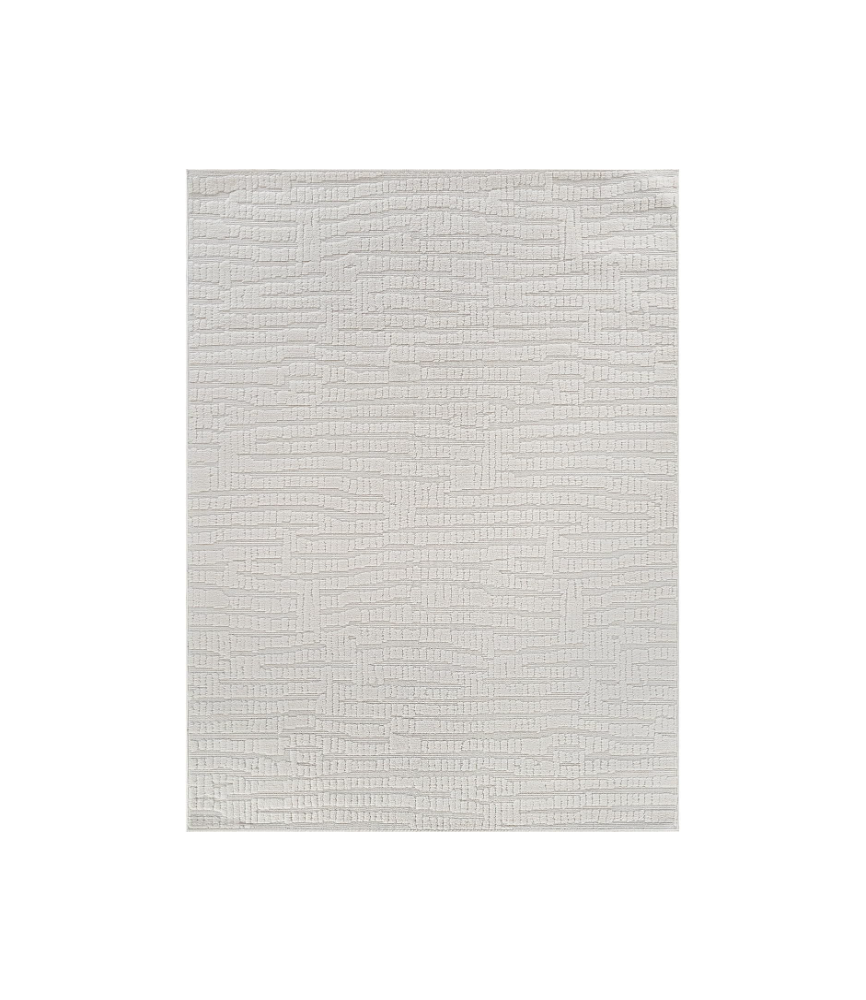 Indoor Area Rugs for Living Room Bedroom Kitchen