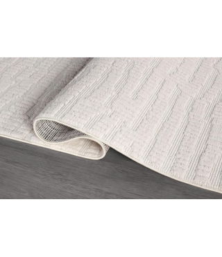 Indoor Area Rugs for Living Room Bedroom Kitchen