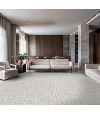 Indoor Area Rugs for Living Room Bedroom Kitchen