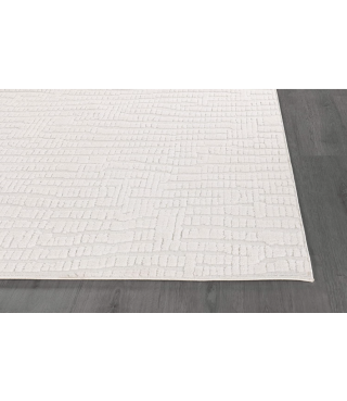 Indoor Area Rugs for Living Room Bedroom Kitchen