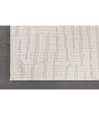 Indoor Area Rugs for Living Room Bedroom Kitchen