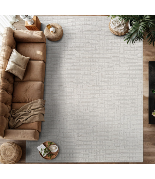 Indoor Area Rugs for Living Room Bedroom Kitchen