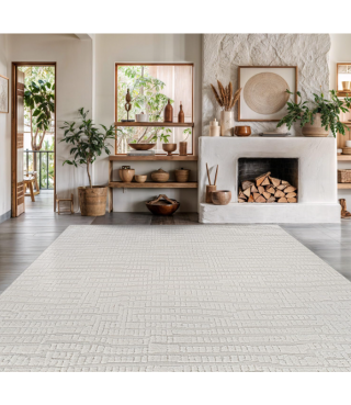 Indoor Area Rugs for Living Room Bedroom Kitchen