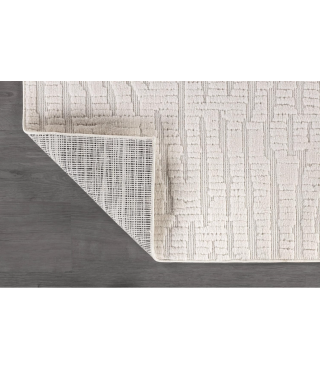 Indoor Area Rugs for Living Room Bedroom Kitchen