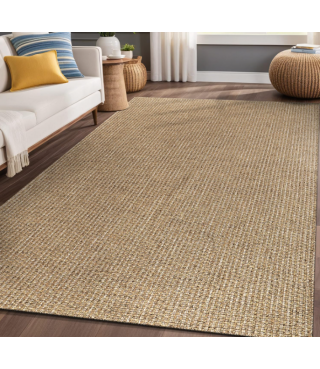 Natural Farmhouse Color Living Room Indoor Outdoor Area Rug
