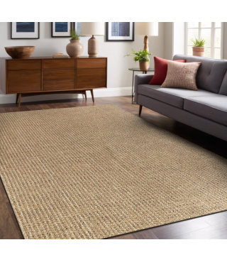 Natural Farmhouse Color Living Room Indoor Outdoor Area Rug