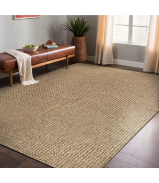 Natural Farmhouse Color Living Room Indoor Outdoor Area Rug