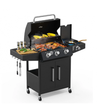 Propane Grill with Side Burner