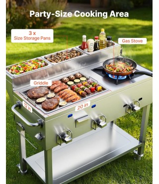 Outdoor Propane Griddle