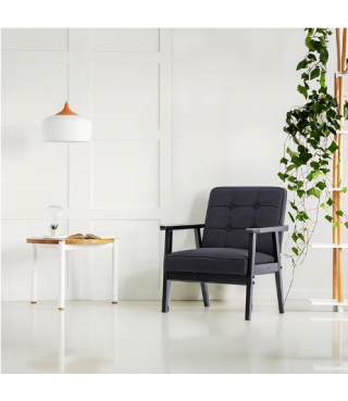 Modern Arm Chair Retro Leisure Chair