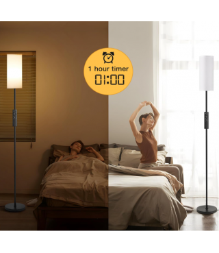 Floor Lamps for Living Room with Remote Control 64''