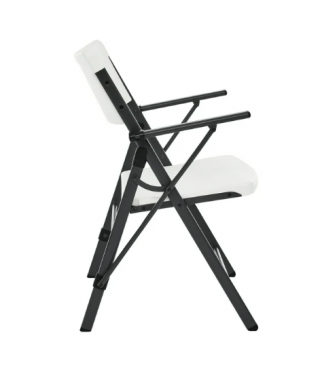 Commercial Plastic Folding Chair with Armrests (Set of 2)