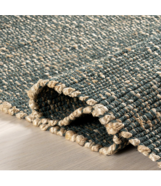 Cozy Jute & Cotton Hand Woven Area Rug
