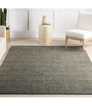 Cozy Jute & Cotton Hand Woven Area Rug