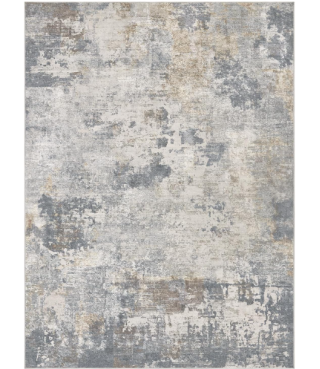 Indoor Area Rugs for Living Room Bedroom Kitchen