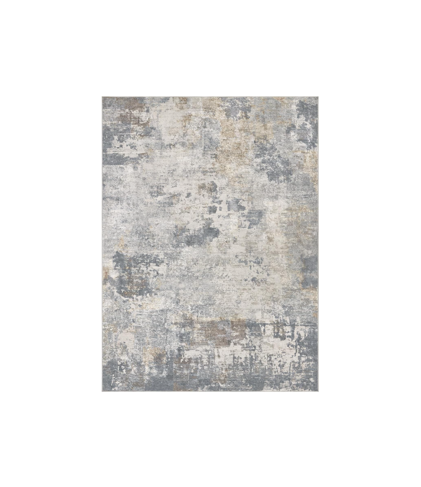 Indoor Area Rugs for Living Room Bedroom Kitchen