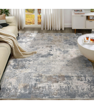 Indoor Area Rugs for Living Room Bedroom Kitchen