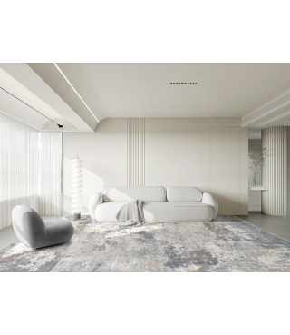 Indoor Area Rugs for Living Room Bedroom Kitchen