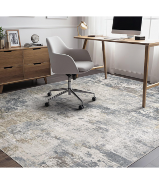 Indoor Area Rugs for Living Room Bedroom Kitchen