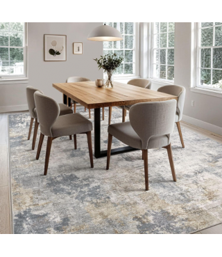 Indoor Area Rugs for Living Room Bedroom Kitchen