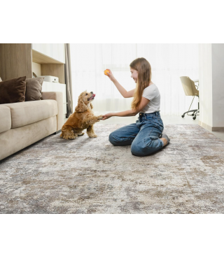 Boho Area Rug Living Room Rugs - Washable Neutral Modern Abstract Soft