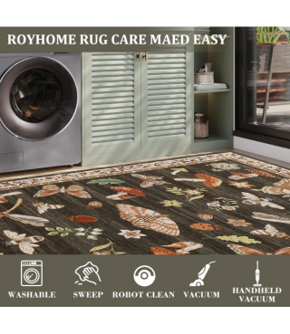 Washable Rug 5x7 Area Rugs for Living Room