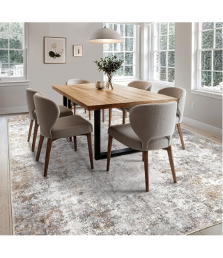 Boho Area Rug Living Room Rugs - Washable Neutral Modern Abstract Soft