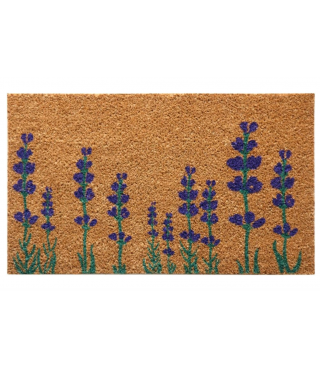 Purple English Lavender...