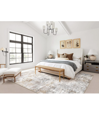 Boho Area Rug Living Room Rugs - Washable Neutral Modern Abstract Soft