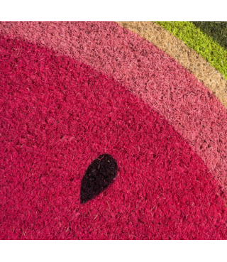 Colorful Design Natural Coir Doormat, 18x30, Watermelon